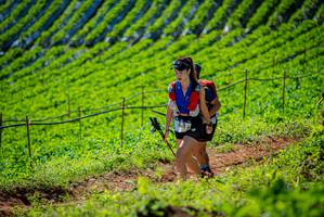 BIB: 
                            <button type="button" onclick="openModal(19162377)" class="btn btn-primary btn-sm float-right btn-popup" data-toggle="modal" data-target=".modal-high-quality">
                        <i class="fas fa-shopping-cart"></i> Add to Cart
                    </button>
                                            <button type="button" onclick="isThisMe(19162377, true)" class="btn btn-success btn-sm float-right btn-popup btn-isme hidden" data-toggle="tooltip" data-placement="bottom" title="นี่คือรูปของคุณใช่ไหม คลิกที่นี่เพื่อเอาเข้าอัลบั้ม">
                        <i class="fas fa-plus"></i> Add to album
                    </button>
                    <button type="button" onclick="isThisMe(19162377, false)" class="btn btn-warning btn-sm float-right btn-popup btn-isnotme hidden">
                        <i class="fas fa-ban"></i> Remove from album
                    </button>